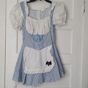 Dorothy adult costume